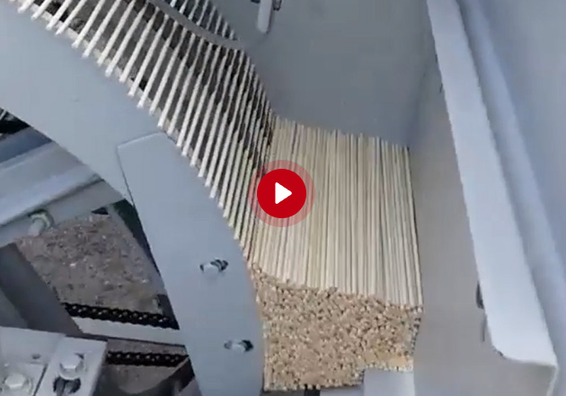 New Generation Skewer Sharpening Machine